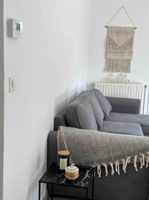 Charmant T3 Moderne Climatise Villeurbanne Exterior foto